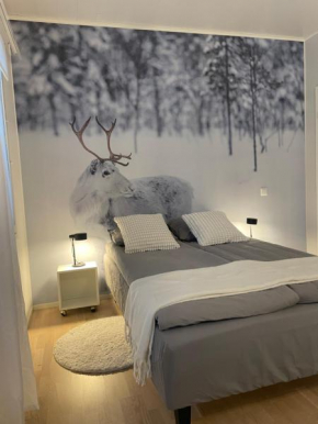 Studio Rudolf - Comfy city apartment - Private sauna - Free Wi-Fi - Near to the centre, Rovaniemi